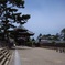 そして　誰も居ない　南円堂