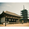 奈良　興福寺