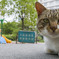 ここが私の団地