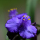 D7K_6698R