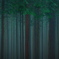 吉野杉