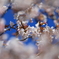 TBI_4945a