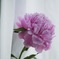 立てば芍薬