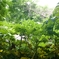 DSC00329