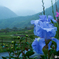002袖志雨