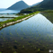 006袖志早朝