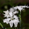 D7K_6713R
