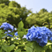D6H_5276_Raw