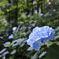 D6H_5278_Raw
