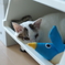 cat_554　にゃにコレ?