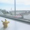 空港で、ぽかぽか日向ぼっこ