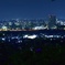夜景