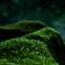 登山
