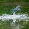水飛沫