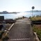 湖岸の光