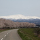霊峰月山と桜並木