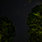 キャンプの星空