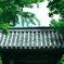 山門を包む新緑