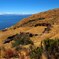 月の島