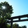 初夏の朝陽