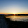 夕暮の田