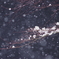 雪の輝き