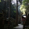 鳥居
