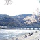 渡月橋