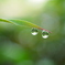 二つの水玉