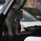 猫旅