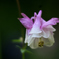 D7K_6718R