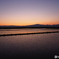 夕方の田んぼ