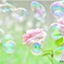 彩り　①
