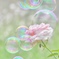 彩り　②