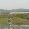 2020田植え　親父と倅