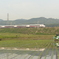 2020年、田植え風景