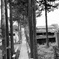 神社参道Ａ