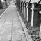 神社参道Ｂ