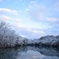 一朝の雪景