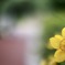 8573F5CC-0C71-465E-86F5-BA0221342F64