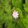 885D6214-B945-4264-AA49-8950DE1F65E6