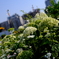 6月7日-6