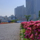6月7日-9