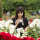 薔薇の園