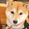 Yahoo記事掲載写真