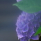 しっとりと