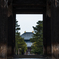 奈良公園