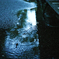 dp2Q_3500k_F2.8_ISO100