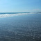 海