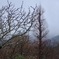 雨上がりのひと時